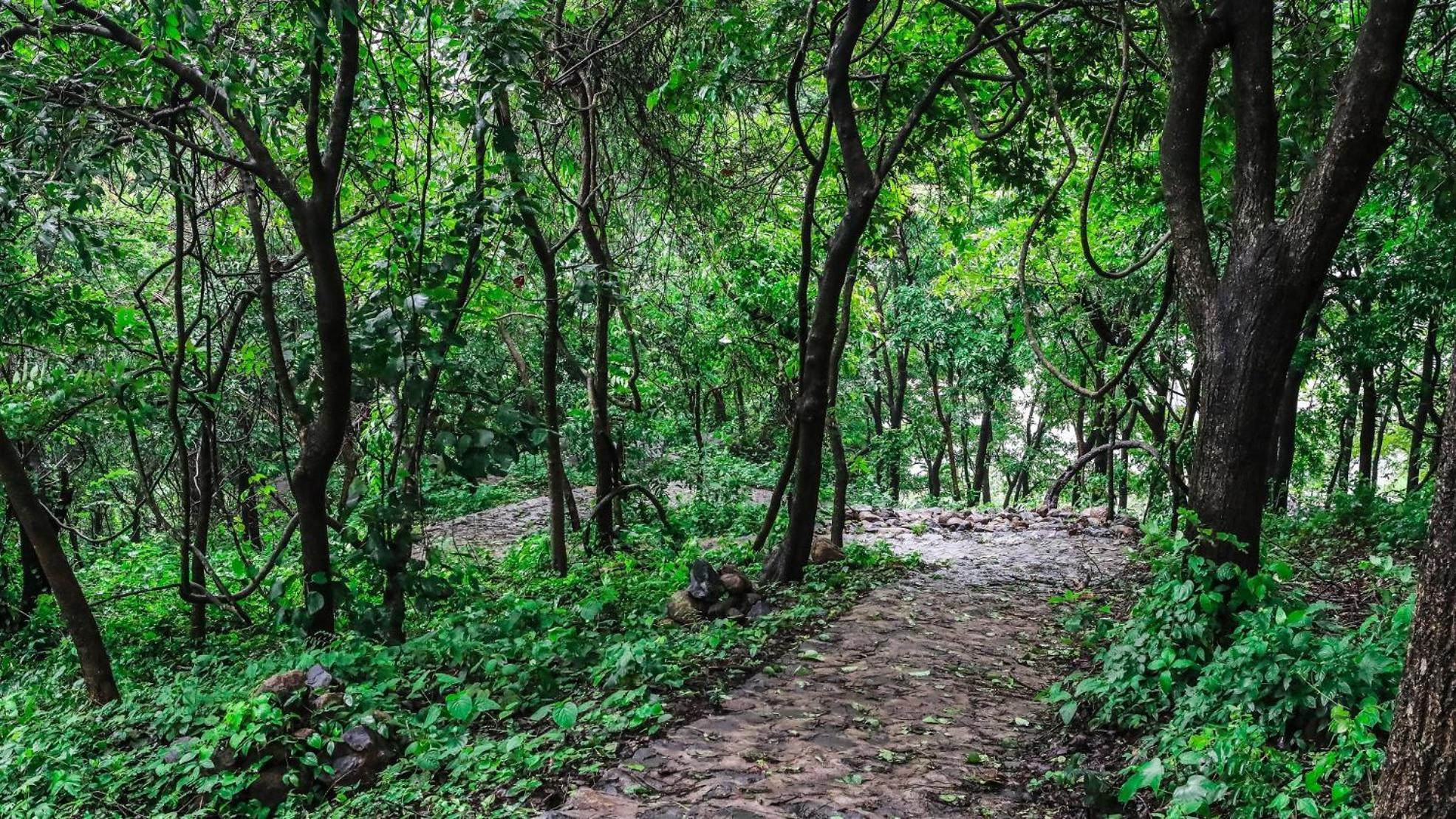 Misty Green Hills Parks & Resorts Kondotty Экстерьер фото
