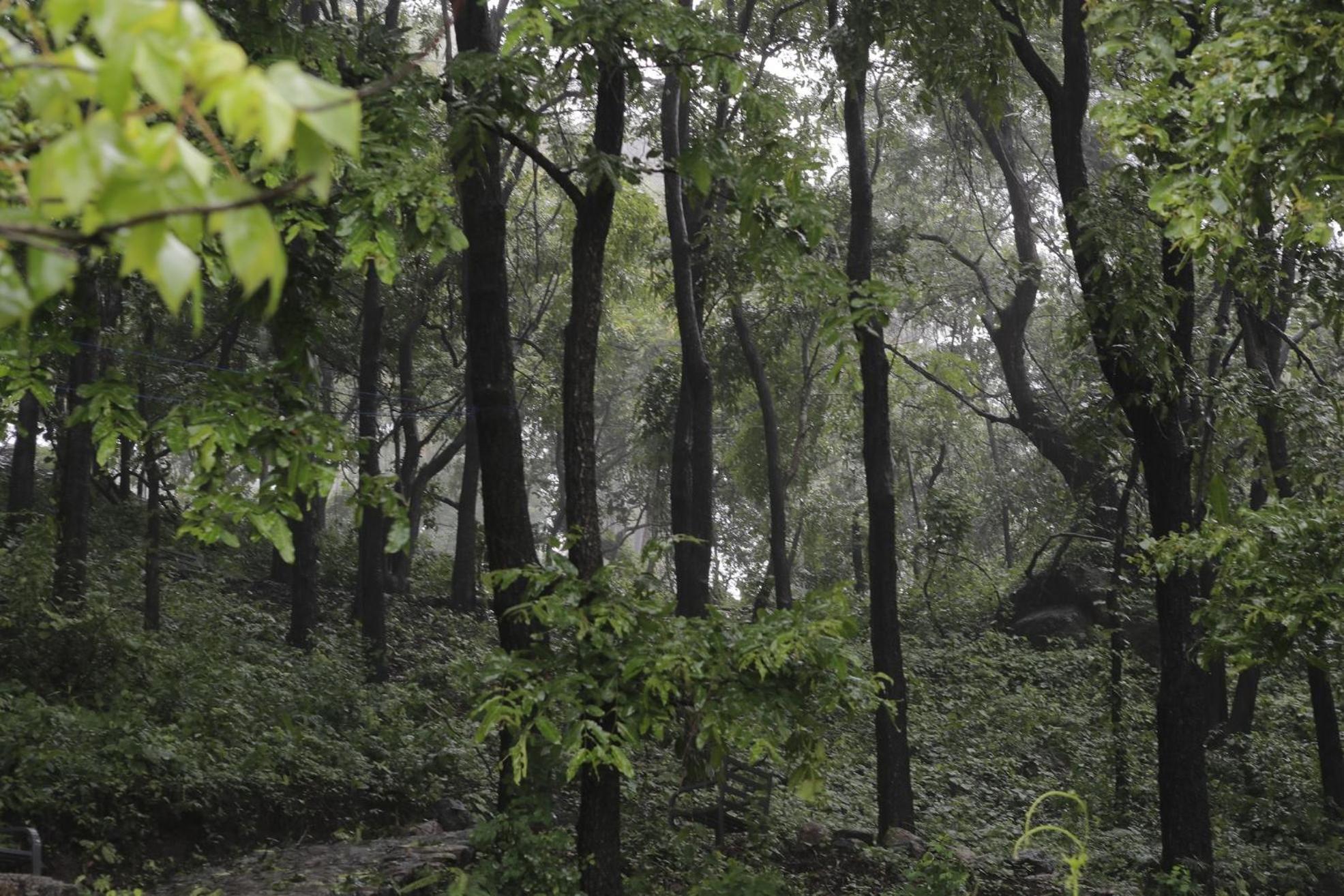 Misty Green Hills Parks & Resorts Kondotty Экстерьер фото