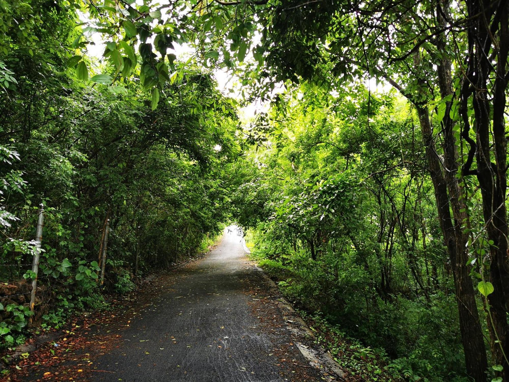 Misty Green Hills Parks & Resorts Kondotty Экстерьер фото